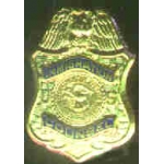 US IMMIGRATION COUNSEL BADGE PIN